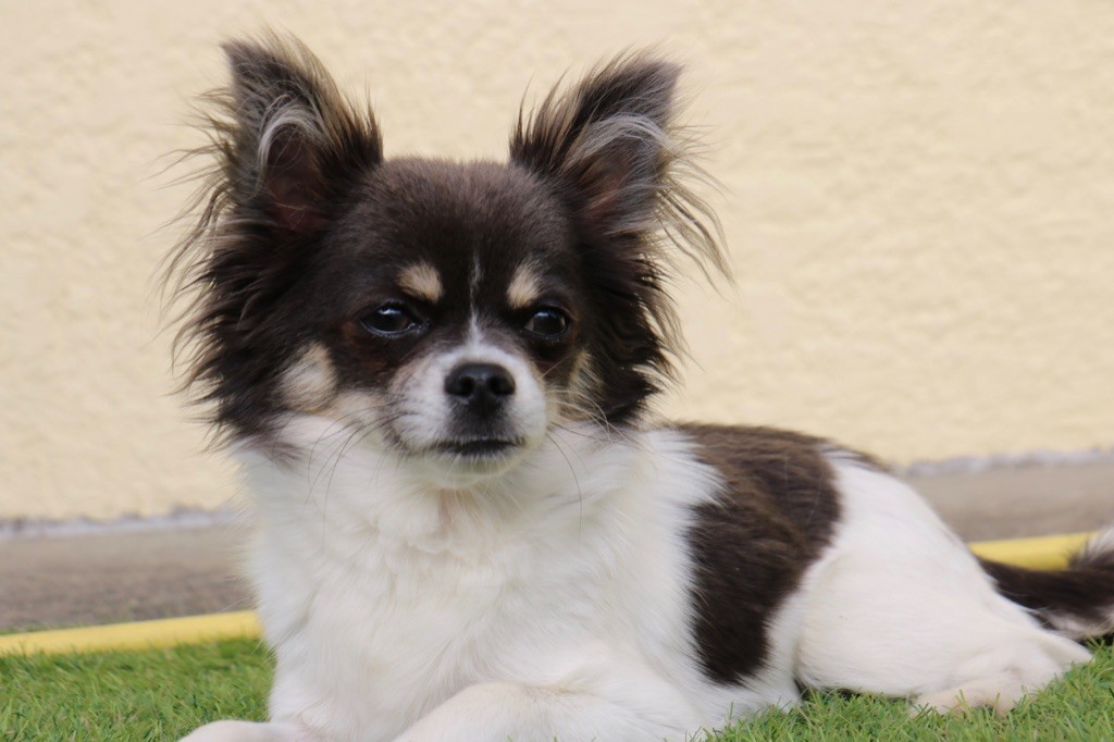 Loving you De la vallée d'Anubis